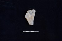 陶片藏品圖，第2張